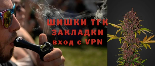 шишки Абаза