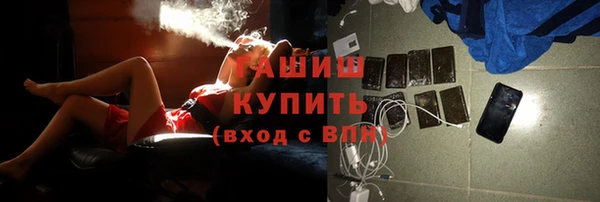 шишки Абаза