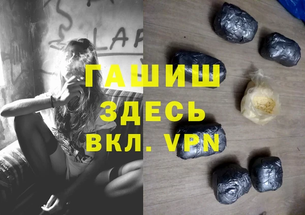 шишки Абаза