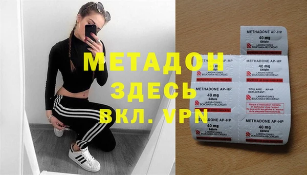 шишки Абаза