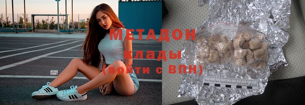 шишки Абаза