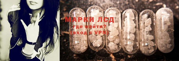 шишки Абаза