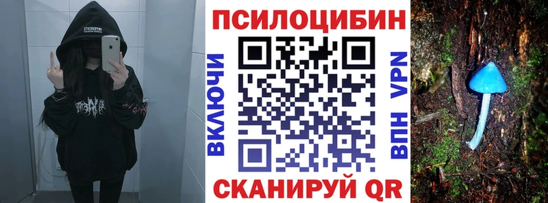 Псилоцибиновые грибы прущие грибы  MEGA вход  Дальнереченск 